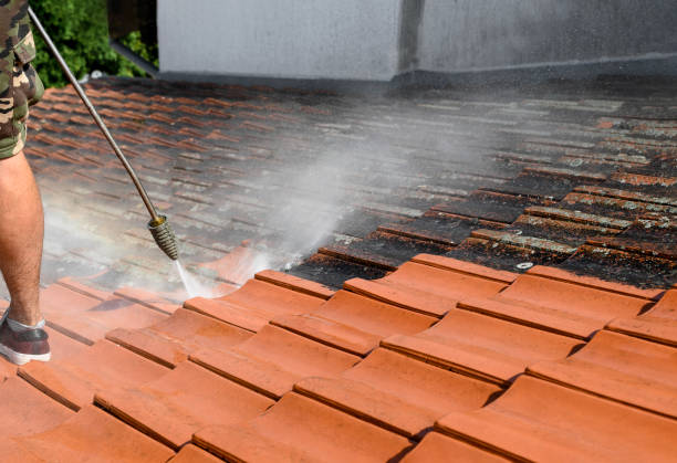 Best Affordable Pressure Washing  in Worcester, MA